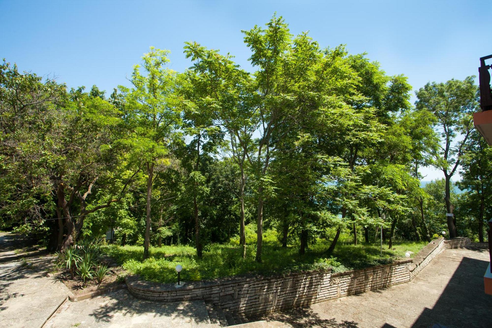 Bisser Hotel - Free Parking - Free Pool Access Balchik Room photo